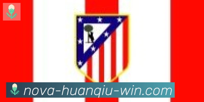 环球体育官网合作伙伴